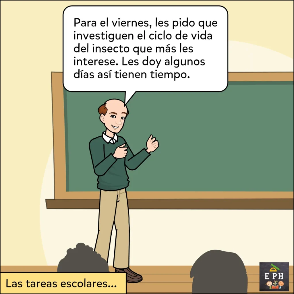 Un profesor frente a un pizarrón verde explicando una tarea escolar sobre el ciclo de vida de los insectos.